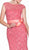 Lace Cap Sleeve Illusion Bateau Sheath Dress