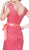 Lace Cap Sleeve Illusion Bateau Sheath Dress