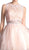 Cinderella Divine - Sleeveless Lace Bodice Tulle A-Line Cocktail Dress