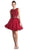 Sleeveless Lace Bodice Tulle A-Line Cocktail Dress