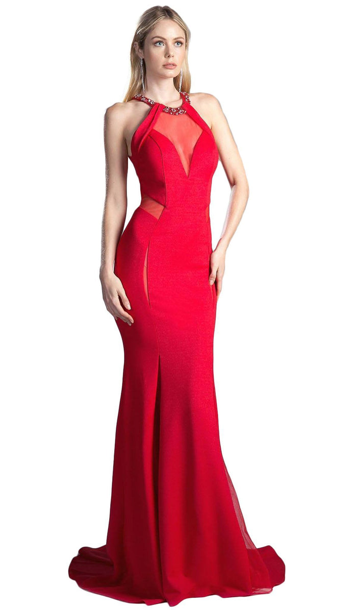 Sheer Seamed Fitted Mermaid Evening Dress