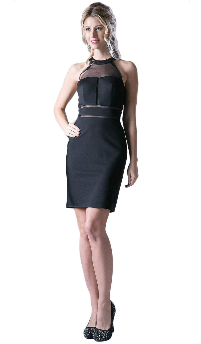 Fitted Sheer Halter Cocktail Dress