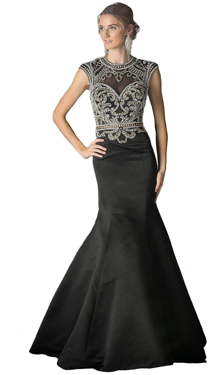 Embellished Fitted Mermaid Evening Gown