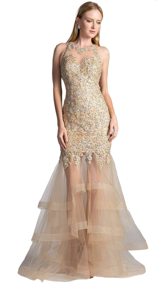 Sleeveless Beaded Applique Mermaid Evening Gown