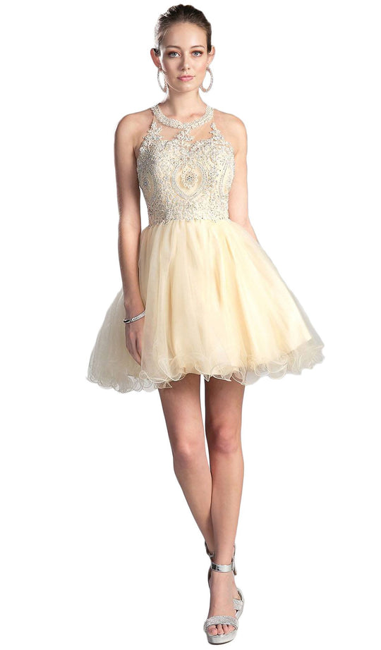 Cinderella Divine - Lace Appliqued Strappy Back Cocktail Dress