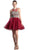 Cinderella Divine - Lace Appliqued Strappy Back Cocktail Dress