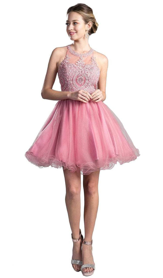 Cinderella Divine Beaded Lace Appliqued Jewel A-Line Cocktail Dress - 1 pc Blush In Size XXS Available In Pink