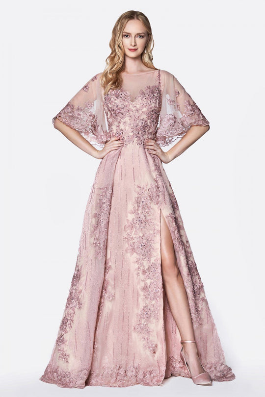 Cinderella Divine - CK843 Embroidered Bateau A-line Gown In Pink