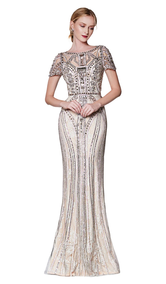 Cinderella Divine - CK865 Illusion Short Sleeve Art Deco Lace Gown In Silver and Neutral