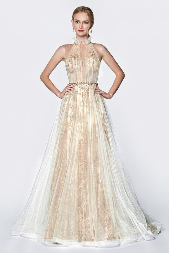 Cinderella Divine - CK877 Embroidered High Neck A-line Gown In Neutral