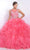 Blush - Q160 Illusion Jewel Neck with Open Back Ballgown In Pink
