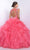 Blush - Q160 Illusion Jewel Neck with Open Back Ballgown In Pink