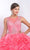 Blush - Q160 Illusion Jewel Neck with Open Back Ballgown In Pink