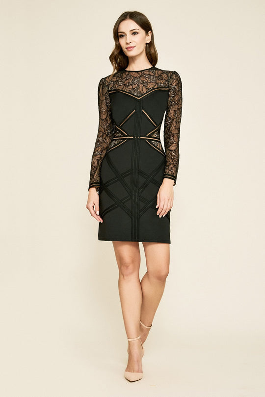 Tadashi Shoji - Long Sleeve Illusion Lace Banded Bustier Dress In Black and Neutral