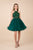 Nox Anabel - E696 Lace Halter A-Line Short Dress In Green