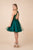 Nox Anabel - E696 Lace Halter A-Line Short Dress In Green