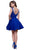 Lace Embroidered Dress