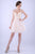 Nina Canacci - 252 Embellished Plunging Sweetheart A-line Dress In Neutral