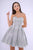 Nina Canacci - 535 Strapless Embroidered A-line Dress In Gray