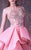 MNM COUTURE - G1040 Floral Applique High Neck A-line Gown In Pink