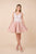 Nox Anabel - G669 Lace Applique V-neck A-line Dress In Neutral