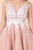Nox Anabel - G669 Lace Applique V-neck A-line Dress In Neutral