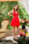 Nox Anabel - G679 Rhinestone-Studded Lace A-Line Dress In Red