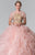 Embellished Jewel Neck Ballgown GL2208