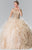 Embellished Jewel Neck Ballgown GL2208