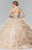 Embellished Jewel Neck Ballgown GL2208