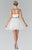 Sheer Ruched Cocktail Dress GS1456