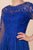 Nox Anabel - H529 Lace Embroidered Illusion A-Line Dress In Blue