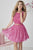 Tiffany Homecoming - Short Lace A-Line Beaded Dress 27120 In Pink