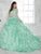 Quinceanera Collection - 26813 Crystal Ornate Two Piece Ballgown in Green