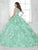 Quinceanera Collection - 26813 Crystal Ornate Two Piece Ballgown in Green