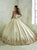 Quinceanera Collection - 26826 Applique Sweetheart Satin Ballgown