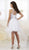 Damas - 52428 Metallic Lace Jewel Neck Tulle A-line Dress