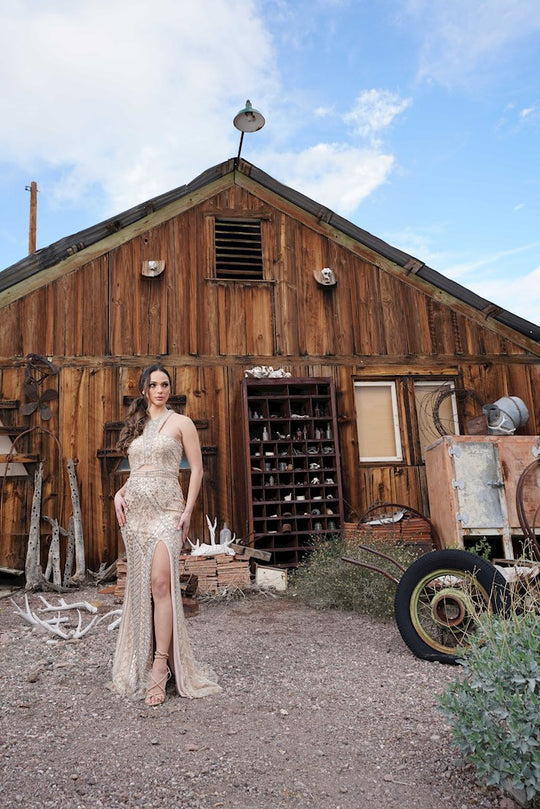 Colors Dress - J111 Beaded Halter Neck Trumpet Dress In Gold