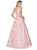 Cinderella Divine - J777 Floral Detailed Deep V-neck Ballgown In Pink