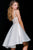 36620 Embroidered Pleated High Low Dress