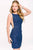 42863 Fitted V Back Illusion Dress