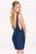 42863 Fitted V Back Illusion Dress