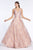 Cinderella Divine - KC891 Floral Applique Deep V-neck A-line Gown In Pink