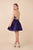 Nox Anabel - M684 Plunging Sweetheart Metallic A-Line Dress In Purple
