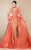 MNM Couture - 2358 Embroidered Illusion High Neck A-Line Dress in Pink