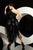 MNM Couture - 6434 Embellished Asymmetric High Low Dress In Black and Silver