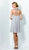 Social Occasions by Mon Cheri - 116854 Dress in Gray