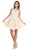 Lace Illusion Jewel A-line Cocktail Dress