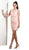 Sleeveless Illusion Jewel Sheath Cocktail Dress