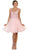 Jeweled V-neck A-line Cocktail Dress